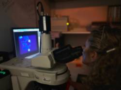 2025 05 20 Transformando vidas